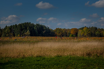 Hamilton, CANADA - October 14, 2018: Autumn Halloween pumpkin festival