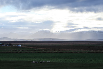sunshine and roads in Iceland