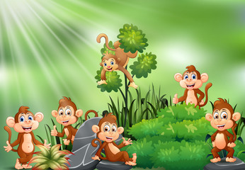 Nature scene with group of monkey cartoon
