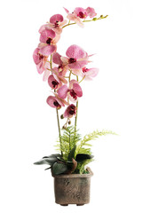 Floral arrangement from artificial orchid flowers in old ceramic flower pot.