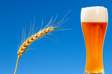 glass of beer on a background of blue sky