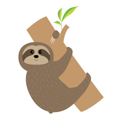 Sloth hugs tree branch. Cute cartoon character. Fluffy fur. Wild jungle animal collection. Baby education. Isolated. White background. Flat design.