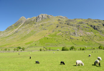 Obraz premium Langdale Pikes above Great Langdale, Lake District
