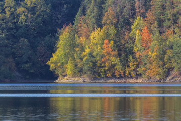 Autumn colorful trees on dam Rimov, Czech landscape