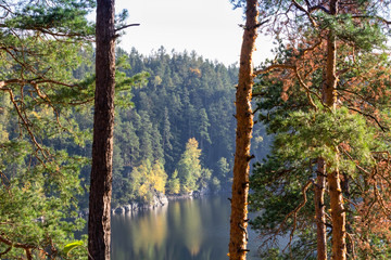 Dam Rimov with autumn colorful trees, foiliage Czech landscape