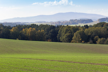 Field, meadow and trees with hill Klet, autumn czech landscape