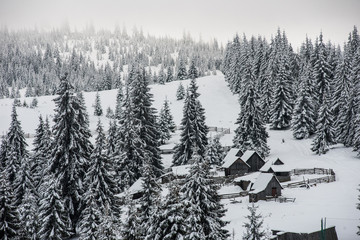 Alpine village in winter in Transylvania