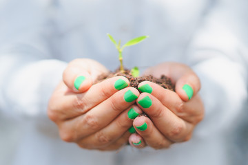 growing little tree holding by woman with green nail polished, focus at finger nails, green at heart concept