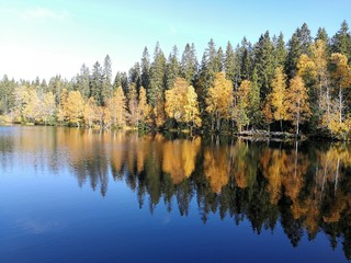 Fototapeta premium cof