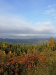 Fototapeta premium cof