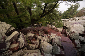 Scenic View of Stone Staircase with Trees and Rocks on a Steep Mountain in a Dense Forest with Foggy Atmosphere in Autumn. Devils Lake Wisconsin