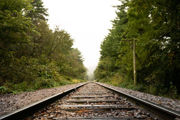 Fototapeta premium View Looking down Train Tracks through Forest in Autumn with a Shallow Depth of Field on a Fall Day