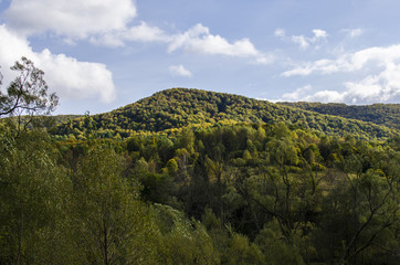 Bieszczady  © wedrownik52