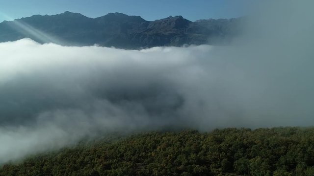 dağların ve ormanların sisli manzarası drone videosu