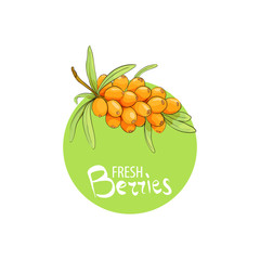 Bright sea buckthorn icon