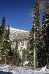 Winter Scene on the Mountain Portrait