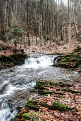 wild river with small waterfalls and rapids in autumn forest