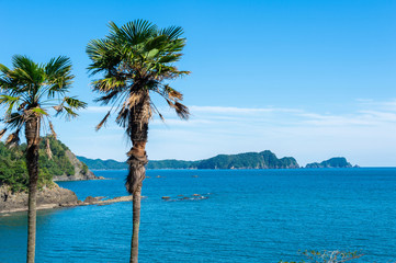 海岸線鉄道