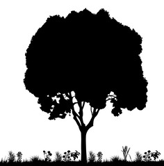 vector, isolated silhouette tree