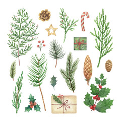 Watercolor vector Christmas set with evergreen coniferous tree branches, berries and leaves. - obrazy, fototapety, plakaty