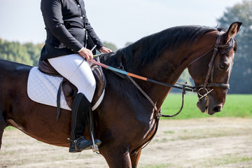 Dressage rider and her horse all set to go in the ring