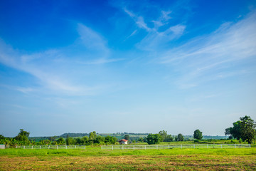 Fototapeta na wymiar Green meadow with blue sky nature background.