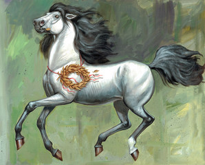 White horse illustration. Incitatus favored horse of Roman emperor Caligula. © Lunstream
