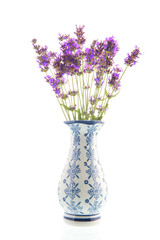 Bouquet Lavender in vase on white background