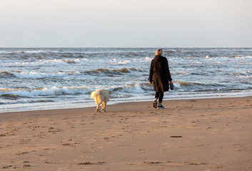  A woman with a dog walking on a sunny day along the beach in Katwijk. Netherlands