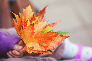 Little girl holding a bouquet of autumn colorful leaves. Selective focus. Toned Image