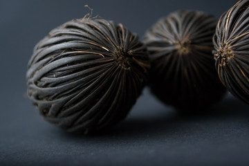 Among these exotic Foxtail palm seeds. Wodyetia bifurcata. Black, brown amazing seeds on black background