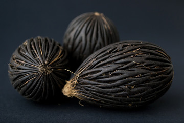 Among these exotic Foxtail palm seeds. Wodyetia bifurcata. Black, brown amazing seeds on black background