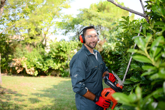 handsome young man gardener trimming hedgerow in a garden park outdoor