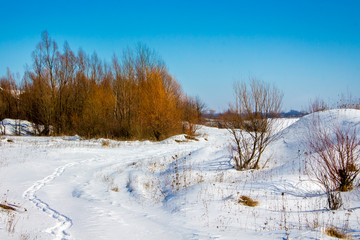 Winter landscape. Snowy path, which goes to the forest_