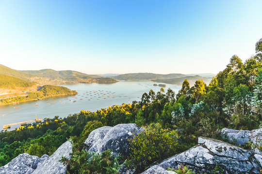 Ria de Vigo
