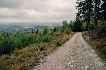 Fototapeta na wymiar Path in Krkonose Mountains in Czech republic.