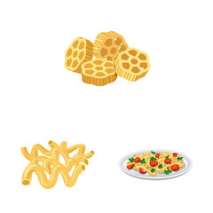 Vector illustration of pasta and carbohydrate symbol. Collection of pasta and macaroni stock vector illustration.