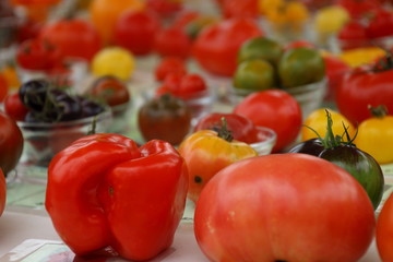 various types of tomatoes
