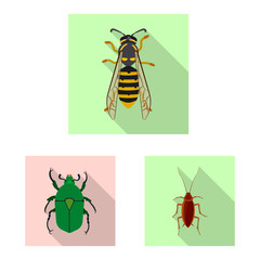 Isolated object of insect and fly icon. Set of insect and element stock vector illustration.