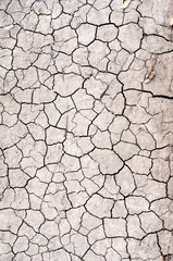 Cracked Earth Texture