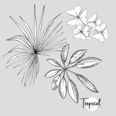 Set of elements for design with tropical plants
