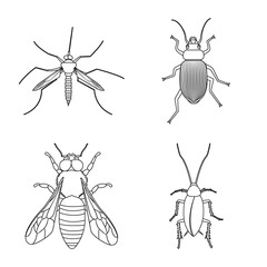 Vector design of insect and fly sign. Collection of insect and element stock symbol for web.