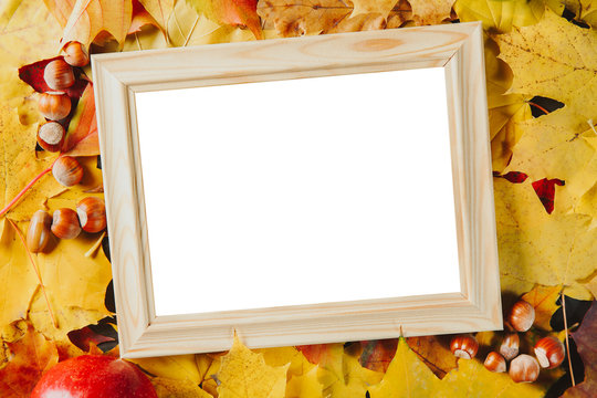 Blank wooden photo frame with hazelnuts on colorful maple leaves background. Autumn concept.