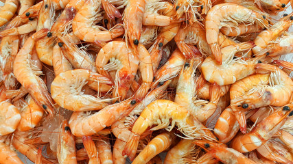 Fresh shrimp on the market
