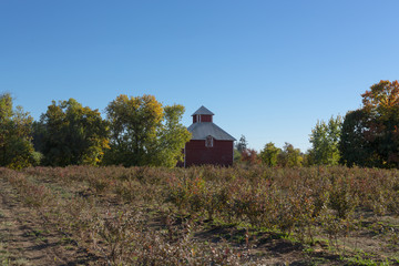Old Red Building on a Farm