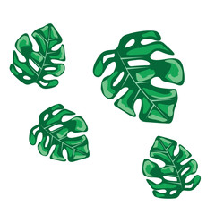 Tropical Leaf Background Vector