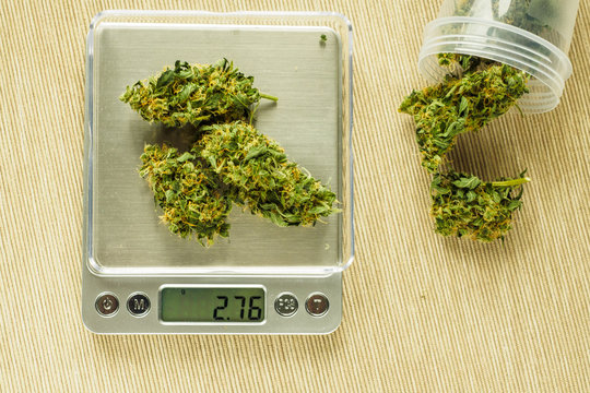 Weed On Scale Images – Browse 12,365 Stock Photos, Vectors, and Video