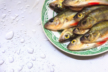 Fresh freshwater fish. Fresh scaled fish perch lies in the plate. View from above.