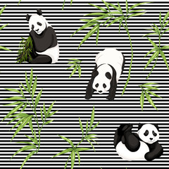 Seamless pattern, background. with pandas and bamboo