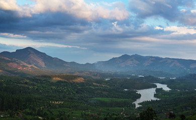 Tea Plantations in the hills